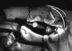 bottle.gif (1858 bytes)