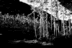landscape3.gif (1777 bytes)