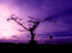 landscape8.gif (2449 bytes)