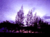 landscape9.gif (2767 bytes)