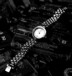 product2.gif (2087 bytes)